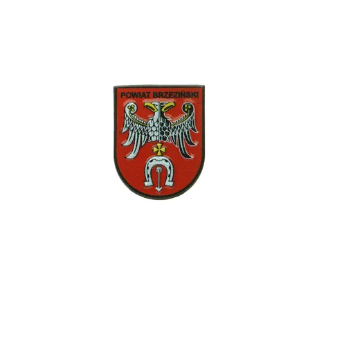 Pins firmowy z logo — metalowy gadżet na zamówienie dla pracowników